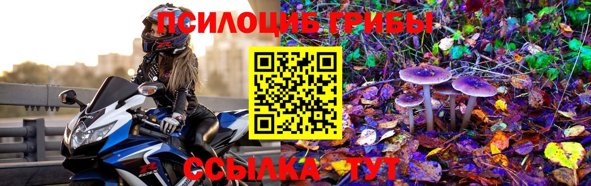 Галлюциногенные грибы Magic Shrooms Златоуст