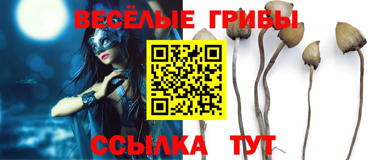 Галлюциногенные грибы ЛСД  закладка  Псилоцибиновые грибы ЛСД  Златоуст  Вход с VPN 